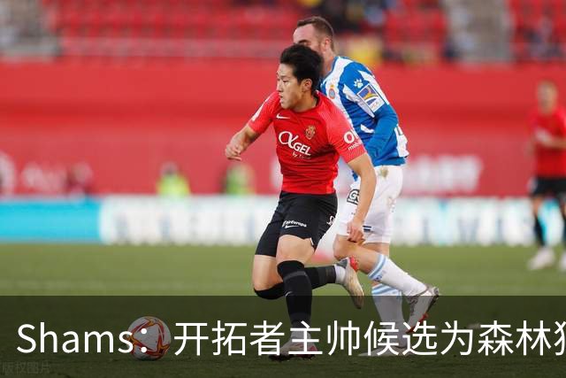 Shams：开拓者主帅候选为森林狼助教诺里&绿军年轻助教拉什布鲁克